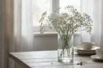 Fleur gypsophile : guide complet pour la cultiver