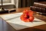 Hibiscus corpus : une confusion entre plante et droit ?