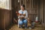 Antibiotique pour coryza poule : l’ordonnance est-elle obligatoire ?